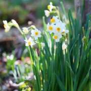ヒメ日記 2026/02/01 01:43 投稿 菜緒子 [ナオコ] ゆるふわ彼女