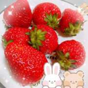 ヒメ日記 2025/03/20 17:47 投稿 まりん 姫コレクション(千葉)