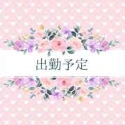 ヒメ日記 2025/04/28 07:31 投稿 まりん 姫コレクション(千葉)