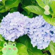 ヒメ日記 2025/06/14 16:42 投稿 まりん 姫コレクション(千葉)