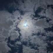 まりん 🎀ごめんなさい💦🎀 姫コレクション(千葉)