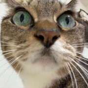 ヒメ日記 2024/12/11 09:09 投稿 あすか♪ プリティーガール