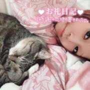 ヒメ日記 2024/12/16 08:59 投稿 あすか♪ プリティーガール