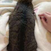 ヒメ日記 2024/12/29 09:41 投稿 あすか♪ プリティーガール