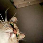 ヒメ日記 2024/12/31 16:23 投稿 あすか♪ プリティーガール