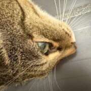 ヒメ日記 2025/01/01 23:31 投稿 あすか♪ プリティーガール