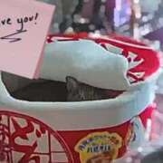 ヒメ日記 2025/01/04 11:27 投稿 あすか♪ プリティーガール