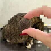 ヒメ日記 2025/01/15 09:25 投稿 あすか♪ プリティーガール