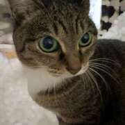 ヒメ日記 2025/02/07 15:45 投稿 あすか♪ プリティーガール