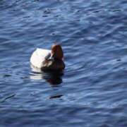 ヒメ日記 2025/02/14 15:55 投稿 あすか♪ プリティーガール