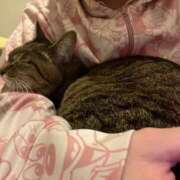 ヒメ日記 2025/02/15 14:48 投稿 あすか♪ プリティーガール