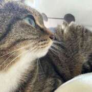 ヒメ日記 2025/02/21 20:35 投稿 あすか♪ プリティーガール