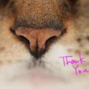 ヒメ日記 2025/02/22 21:42 投稿 あすか♪ プリティーガール