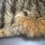 ヒメ日記 2025/03/01 13:07 投稿 あすか♪ プリティーガール