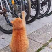 ヒメ日記 2025/03/05 17:35 投稿 あすか♪ プリティーガール