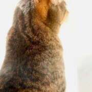 ヒメ日記 2025/03/24 12:25 投稿 あすか♪ プリティーガール