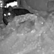 ヒメ日記 2025/03/26 19:05 投稿 あすか♪ プリティーガール