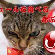 ヒメ日記 2025/03/28 17:16 投稿 あすか♪ プリティーガール