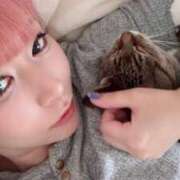 ヒメ日記 2025/04/04 15:05 投稿 あすか♪ プリティーガール