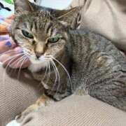 ヒメ日記 2025/04/05 23:55 投稿 あすか♪ プリティーガール