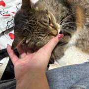 ヒメ日記 2025/05/11 00:45 投稿 あすか♪ プリティーガール