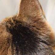 ヒメ日記 2025/05/24 00:25 投稿 あすか♪ プリティーガール