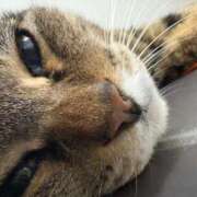 ヒメ日記 2025/05/28 19:25 投稿 あすか♪ プリティーガール