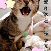 ヒメ日記 2025/06/04 11:55 投稿 あすか♪ プリティーガール