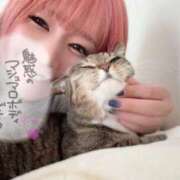 ヒメ日記 2025/07/02 19:05 投稿 あすか♪ プリティーガール