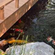 ヒメ日記 2025/07/31 17:55 投稿 あすか♪ プリティーガール