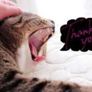 ヒメ日記 2025/09/01 08:55 投稿 あすか♪ プリティーガール