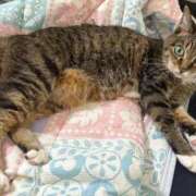 ヒメ日記 2025/09/14 08:48 投稿 あすか♪ プリティーガール