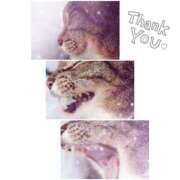 ヒメ日記 2025/09/17 00:25 投稿 あすか♪ プリティーガール