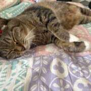 ヒメ日記 2025/10/05 23:05 投稿 あすか♪ プリティーガール