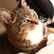 ヒメ日記 2025/12/01 18:05 投稿 あすか♪ プリティーガール