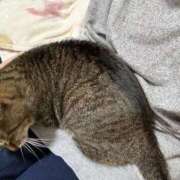 ヒメ日記 2025/12/22 09:05 投稿 あすか♪ プリティーガール