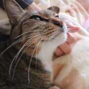 ヒメ日記 2026/02/03 12:25 投稿 あすか♪ プリティーガール