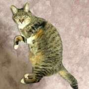 ヒメ日記 2026/02/09 14:05 投稿 あすか♪ プリティーガール