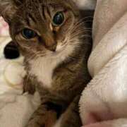 ヒメ日記 2026/03/02 19:05 投稿 あすか♪ プリティーガール