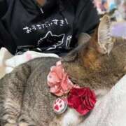 ヒメ日記 2026/03/10 08:15 投稿 あすか♪ プリティーガール