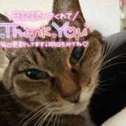 ヒメ日記 2026/03/13 02:25 投稿 あすか♪ プリティーガール