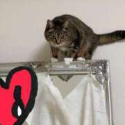 ヒメ日記 2026/03/13 07:25 投稿 あすか♪ プリティーガール