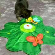 ヒメ日記 2026/03/21 07:45 投稿 あすか♪ プリティーガール