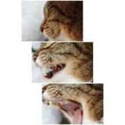 ヒメ日記 2026/03/22 08:04 投稿 あすか♪ プリティーガール