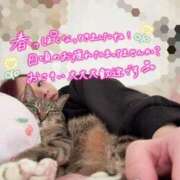 ヒメ日記 2026/03/30 11:15 投稿 あすか♪ プリティーガール