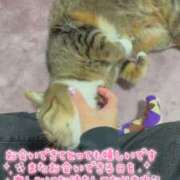 ヒメ日記 2026/04/09 15:25 投稿 あすか♪ プリティーガール