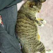 ヒメ日記 2026/04/13 07:15 投稿 あすか♪ プリティーガール