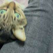 あすか♪ ＊.*⸜(*ˊᗜˋ*)⸝*.＊ゎ-ぃ!! プリティーガール