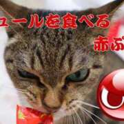 ヒメ日記 2026/08/05 15:05 投稿 あすか♪ プリティーガール