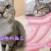 ヒメ日記 2026/09/11 19:16 投稿 あすか♪ プリティーガール